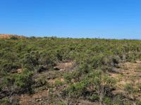  of property in Hartenbos