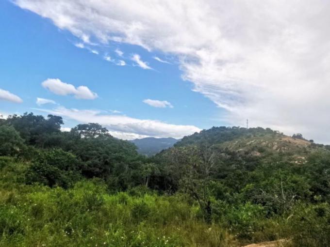 Houses For Sale in Shandon Estate MyRoof.co.za