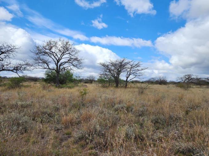 Farm for Sale For Sale in Polokwane - MR577348