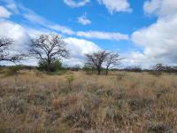 Farm for Sale for sale in Polokwane