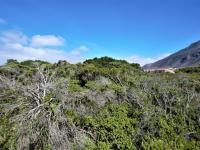  of property in Bettys Bay