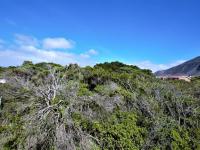  of property in Bettys Bay