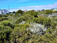  of property in Bettys Bay