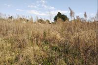  of property in Deneysville