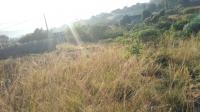  of property in Padianagar