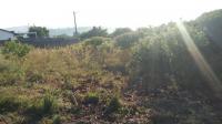  of property in Padianagar