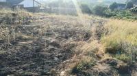  of property in Padianagar