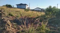  of property in Padianagar