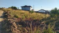  of property in Padianagar