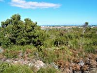  of property in Bettys Bay