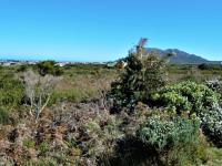  of property in Bettys Bay