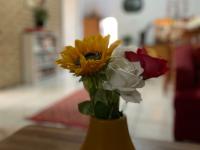  of property in Val de Grace