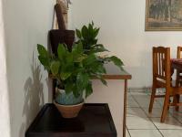  of property in Val de Grace
