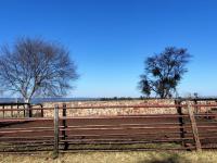 Farm for Sale for sale in Koster