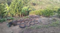  of property in Tugela