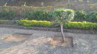  of property in Tugela