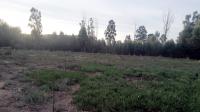 Backyard of property in Joubertina
