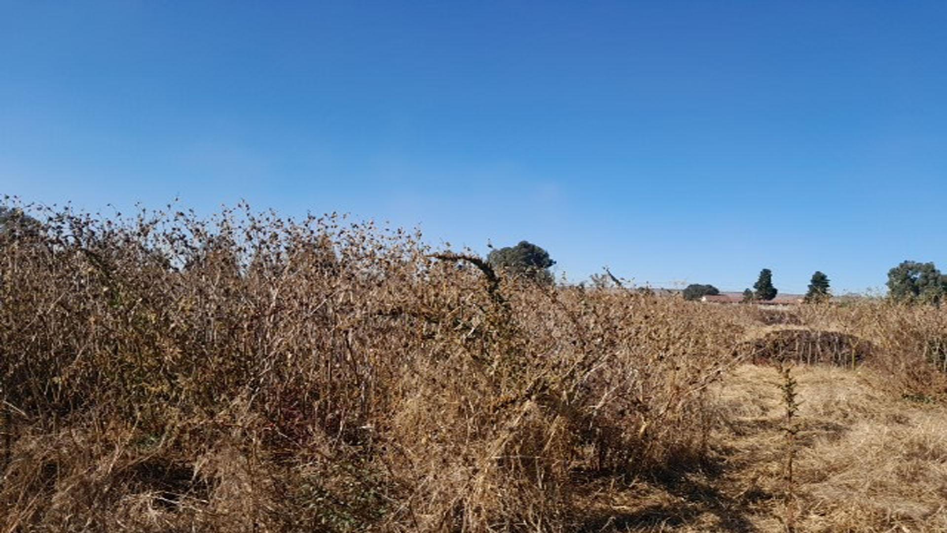 Front View of property in West Rand AH