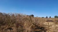 Front View of property in West Rand AH