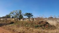 Front View of property in West Rand AH
