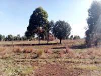  of property in Zakariyya Park