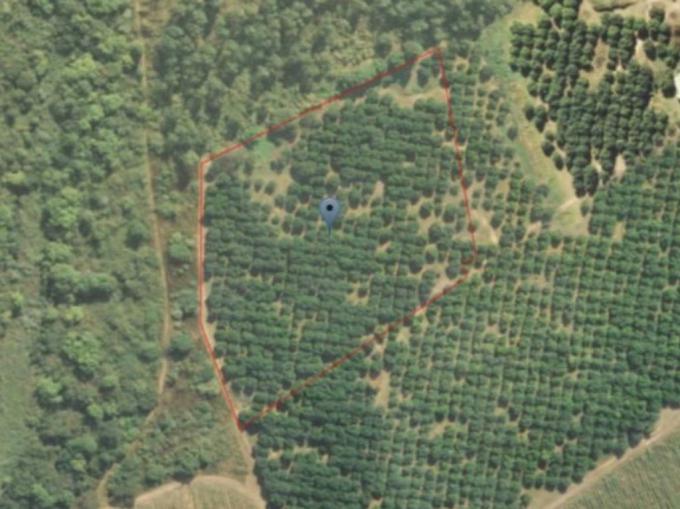Smallholding for Sale For Sale in Nelspruit Central - MR581859