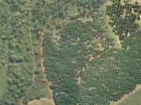  of property in Nelspruit Central