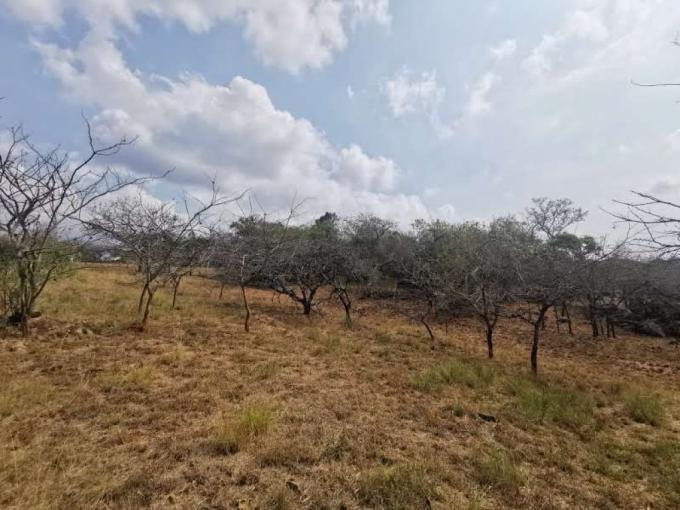 Land for Sale For Sale in Nelspruit Central - MR582060