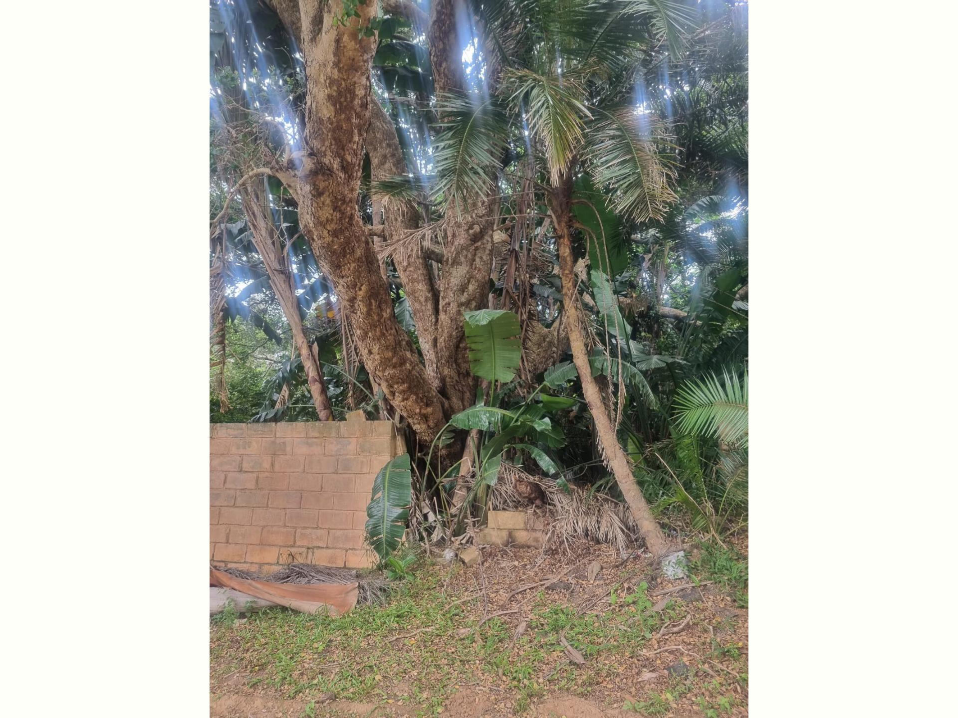  of property in Wood Grange