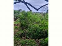 Land for Sale for sale in Hibberdene