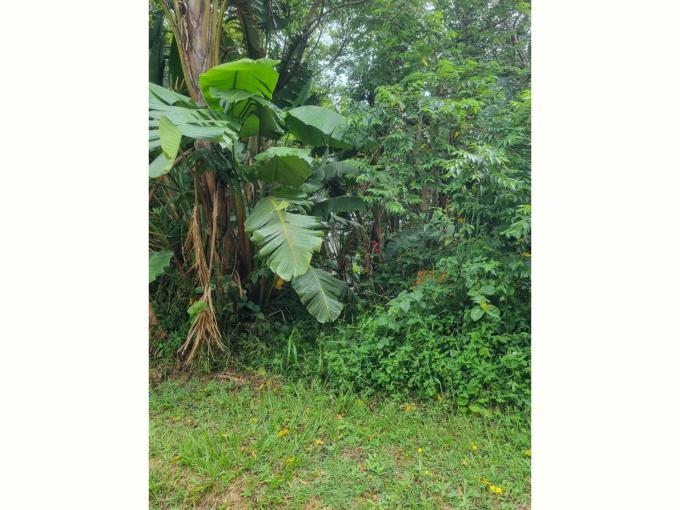 Land for Sale For Sale in Hibberdene - MR582557