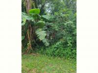 Land for Sale for sale in Hibberdene