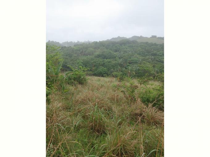 Land for Sale For Sale in Hibberdene - MR582573