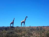 of property in Hartenbos