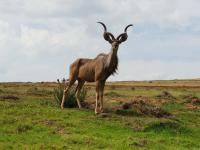  of property in Hartenbos