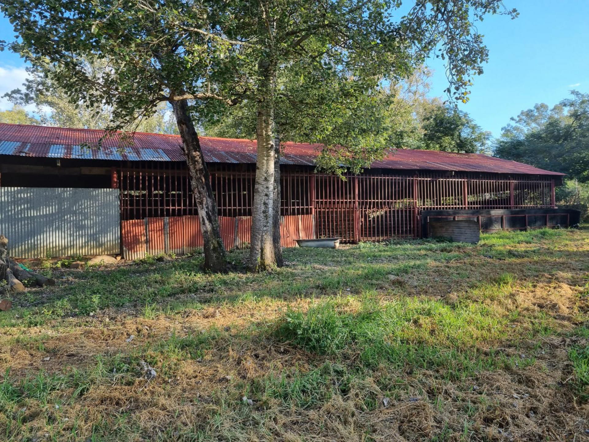  of property in Newcastle