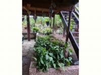  of property in Hibberdene