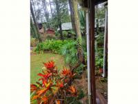  of property in Hibberdene