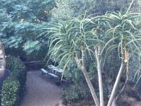  of property in Oranjezicht