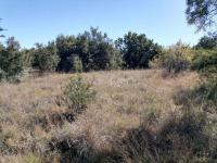 Smallholding for Sale for sale in Koster
