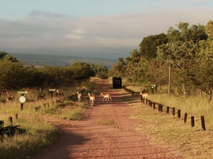 Farm for Sale For Sale in Polokwane - MR585071