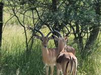  of property in Polokwane