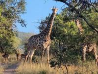  of property in Polokwane