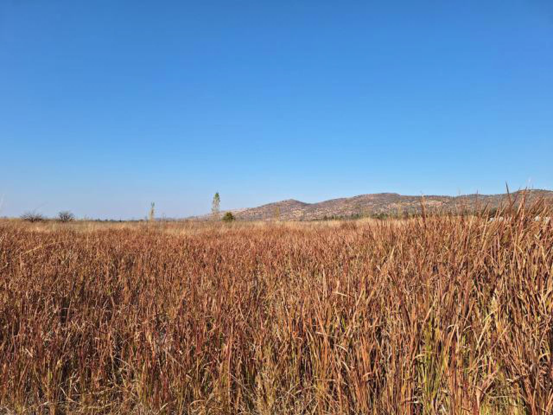 Standard Bank EasySell Land for Sale in Everglades MR5855