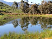  of property in Robertson