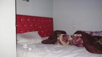 Bed Room 1 - 7 square meters of property in Kensington - JHB