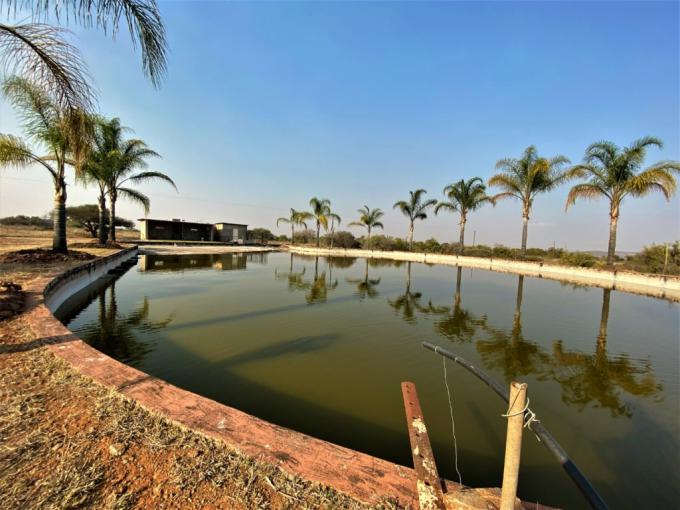 Smallholding for Sale For Sale in Polokwane - MR587937
