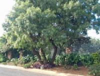 Front View of property in Mondeor