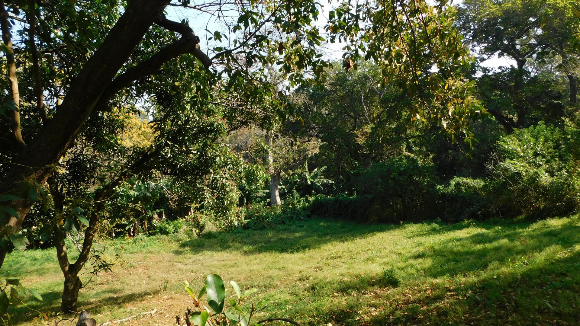 Standard Bank EasySell 3 Bedroom House for Sale in Southport