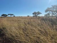  of property in Estcourt